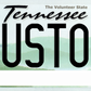 Tennessee License Plate