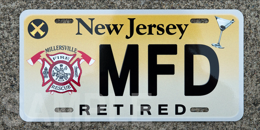 One Custom Stainless Steel License Plate